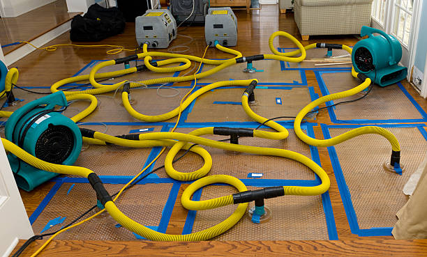 Professional Flood Damage Restoration technician working in Duenweg, MO